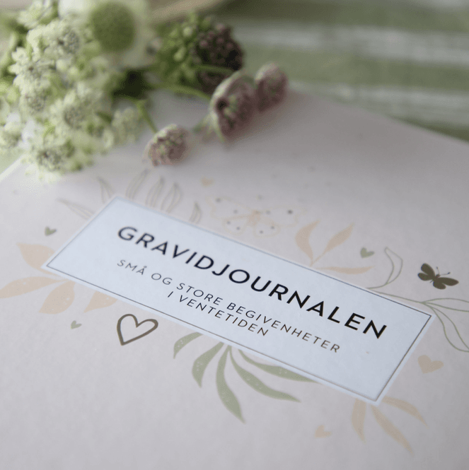 Hovedbilde Gravidjournalen